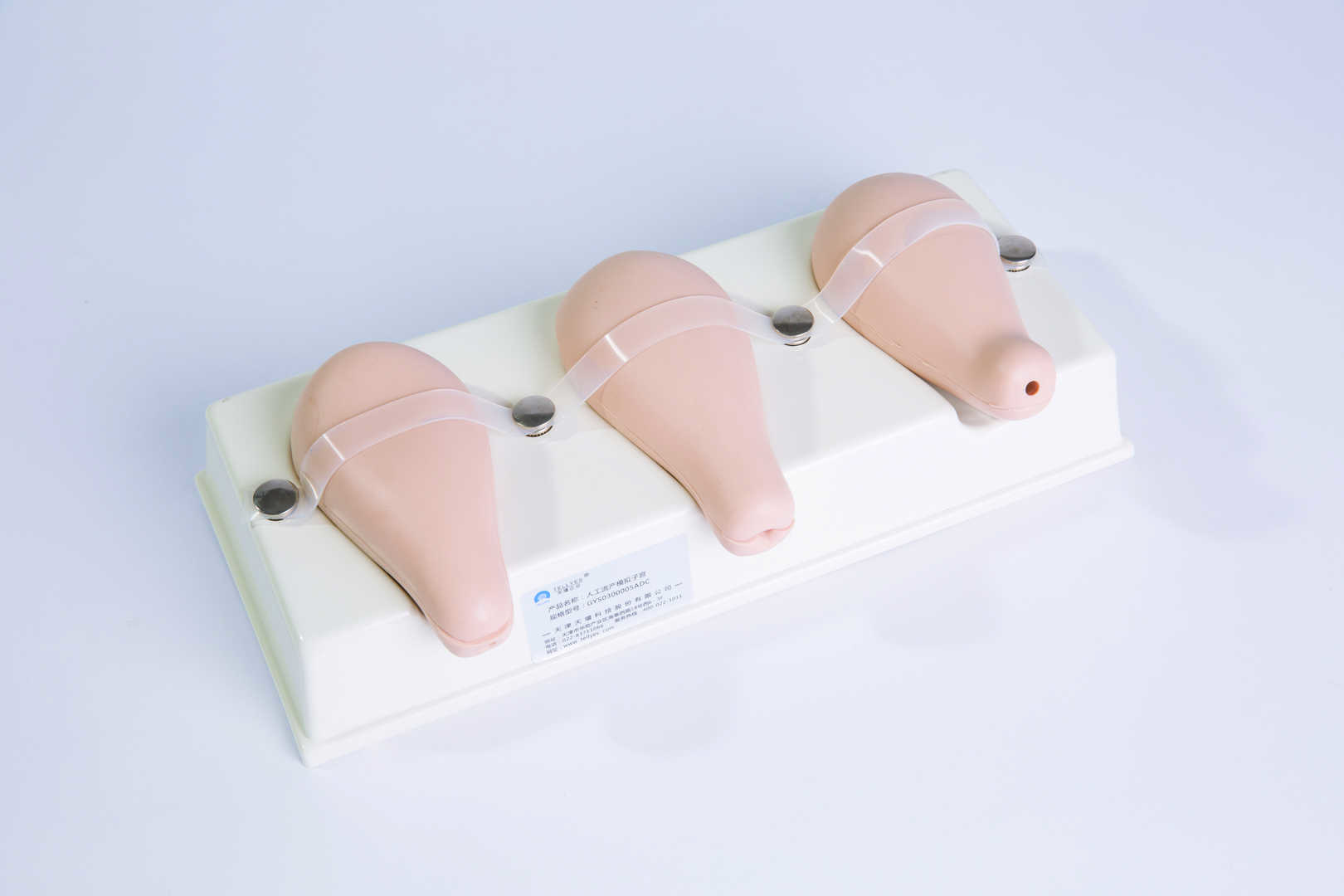 Dilatation and Curettage Model