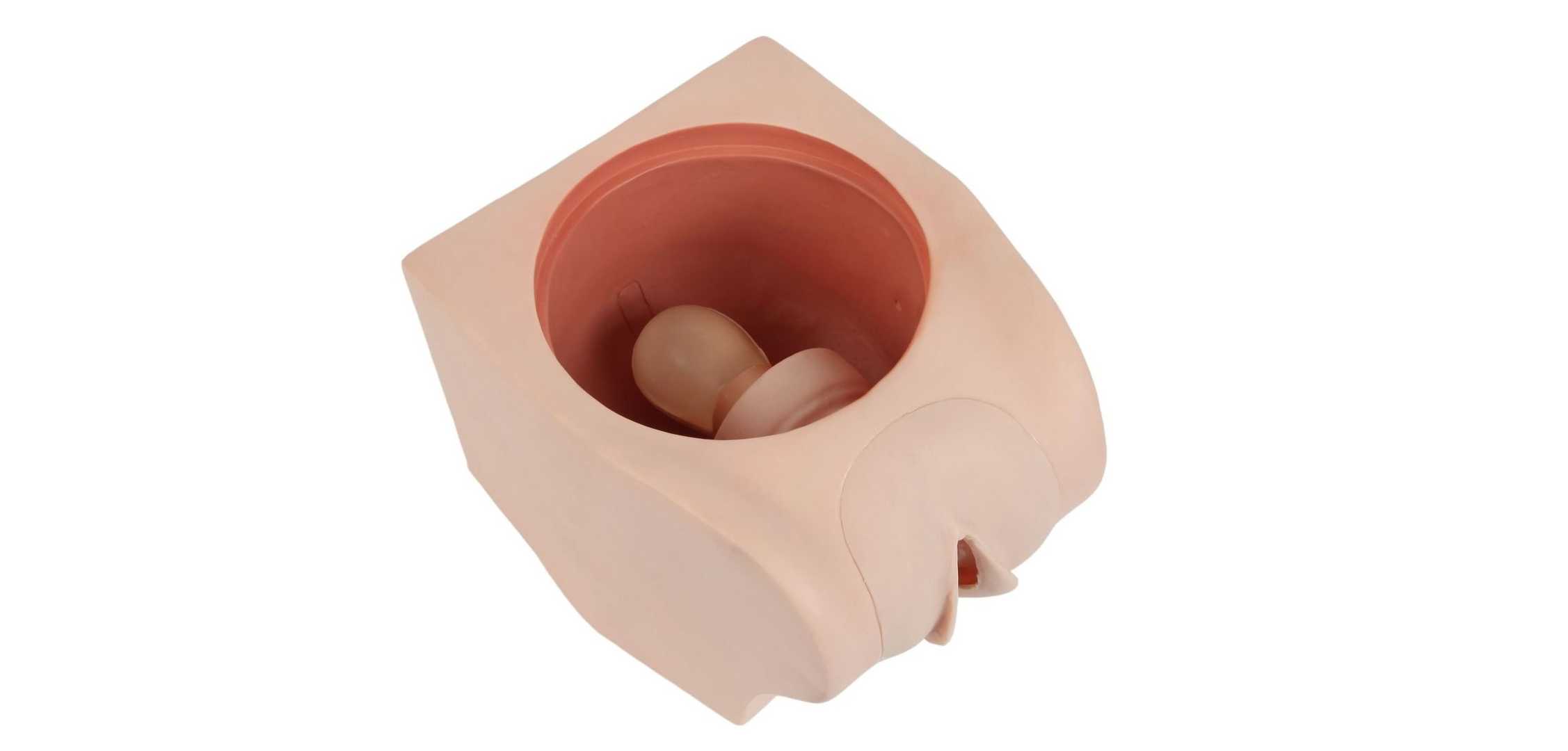 Female Contraception Trainer