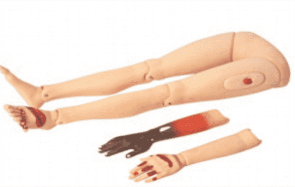Trauma Limbs Model